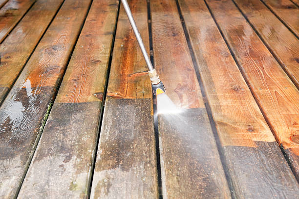 Best Driveway Pressure Washing  in Greenville, DE